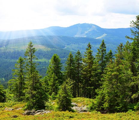 Bayerischer Wald - Wegscheid