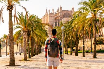 Mann mit einem Rucksack steht in einer Palmenallee mit dem Blick auf die Kathedrale von Palma de Mallorca gerichtet