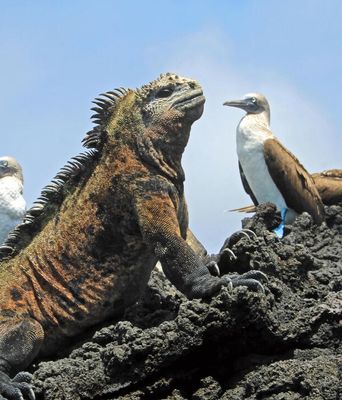 Ecuador & Galápagos-Inseln