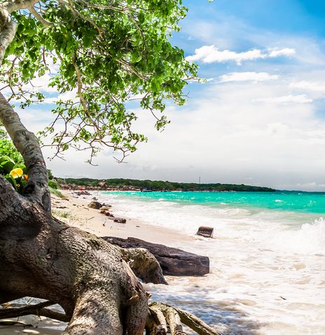 Strand mit Wellen