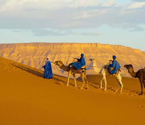 Eine Karavane zieht durch die Wüste der Sahara in Tunesien