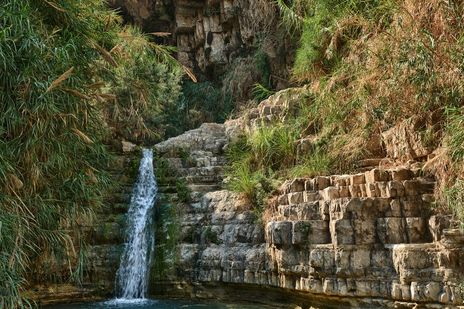 En Gedi Nationalpark in Israel