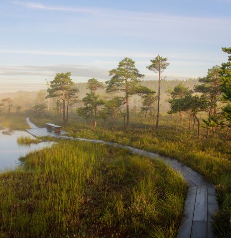 Sooma Nationalpark in Estland