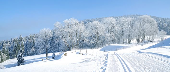 Schneebedeckte Winterlandschaft im bayerischen Wald