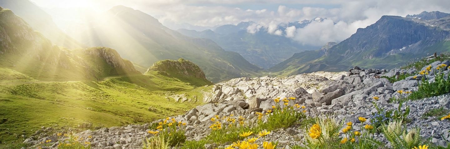 Landschaft mit Blumen und Sonnenschein