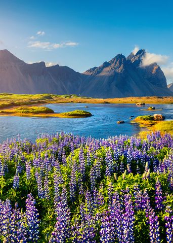 Landschaft auf Island