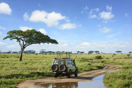 Geländewagen auf Safari