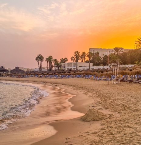 Strand von Hammamet in Tunesien mit Palmen bei Sonnenaufgang