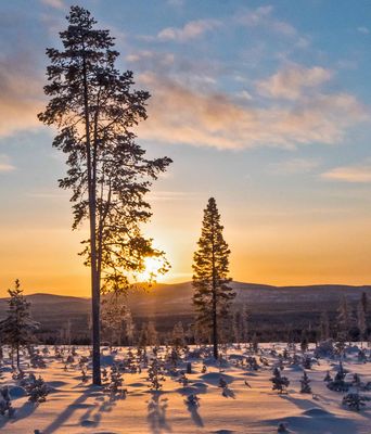 Verschneite Winterlandschaft in Finnland