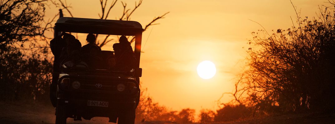 Safari Jeep auf Pirschfahrt bei Sonnenuntergang