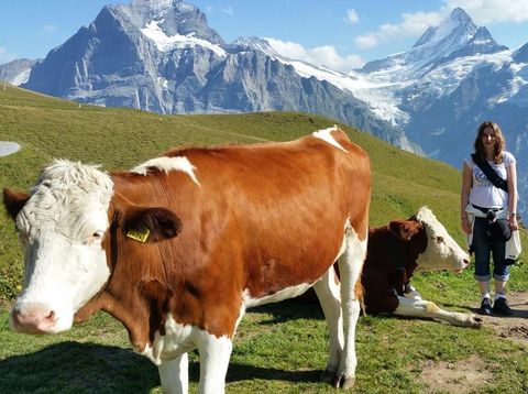 Kati berichtet aus der Schweiz