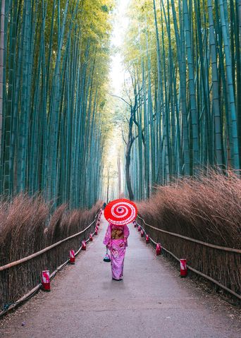 Frau in traditioneller Kleidung spaziert durch den Bambuswald in Kyoto, Japan