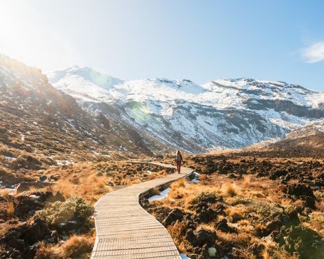 Flexible Mietwagen-Rundreise ab Auckland bis Christchurch: Neuseeland