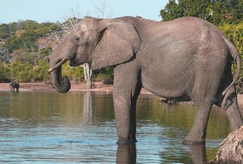 Namibia, Botswana & Simbabwe