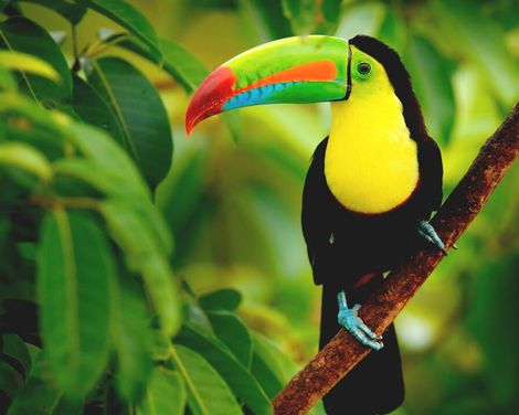 Kreuzfahrt mit der Costa Deliziosa ab/an Savona-1