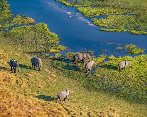 Afrika ganz exklusiv bei einer Fly-in-Safari erleben-0