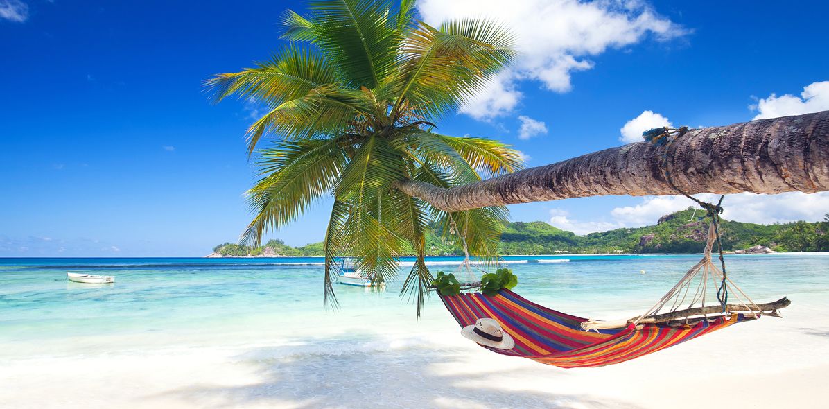 Palme mit Hängematte am Strand