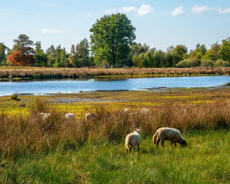 Zwischen Fluss, Moor & Kultur auf dem Hase-Ems-Radweg