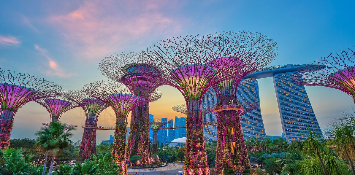 Gardens by the bay in Singapur