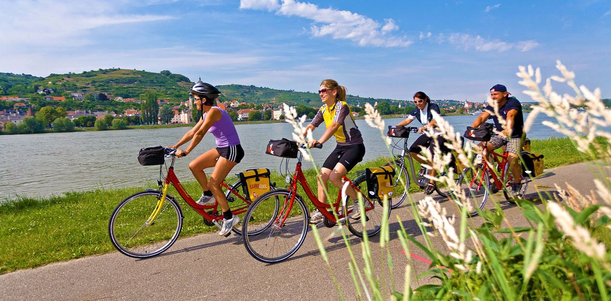 Fahrradfahrer radeln entlang der Donau bei sonnigem Wetter