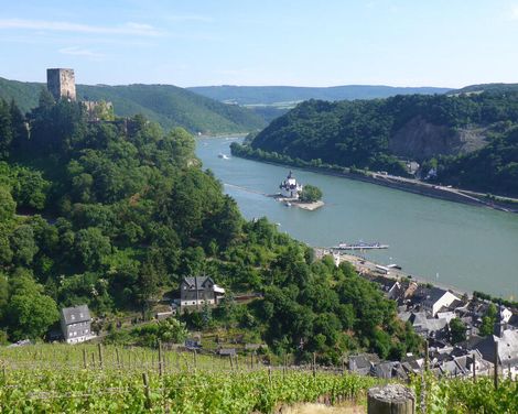 Wandern auf dem legendären Rheinsteig-3