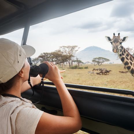 Frau erblickt Giraffe im Serengeti Nationalpark