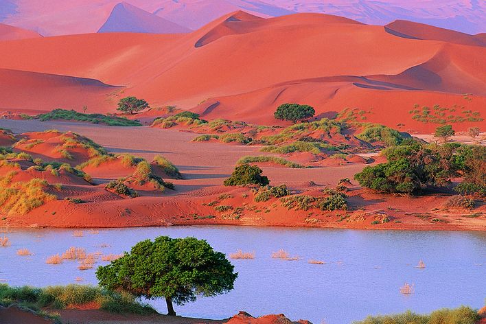 Eine roten Sanddüne im Sossusvlei in der Namib-Wüste