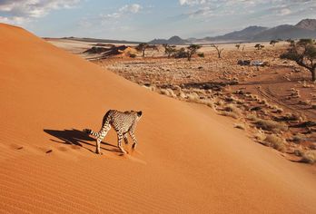 Namibia, Botswana & Simbabwe