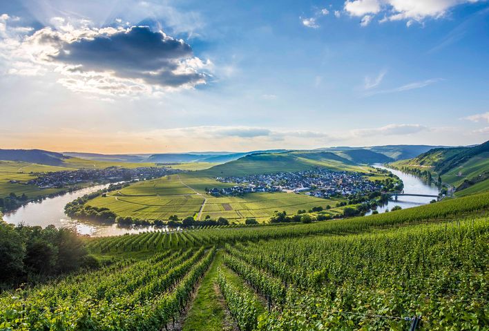 Blick auf die Mosel