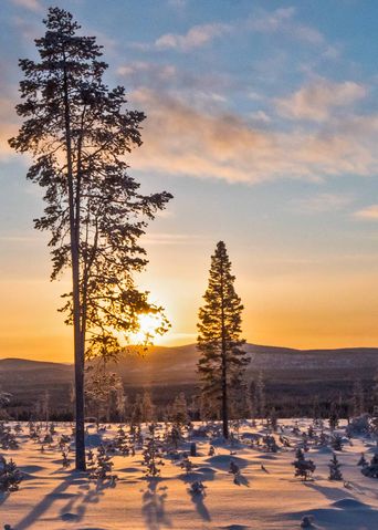 Winterlandschaft in Finnland
