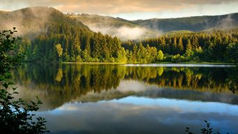 Landschaft im Harz