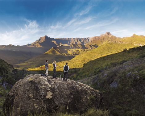 Zwischen Big Five und Drakensbergen-0