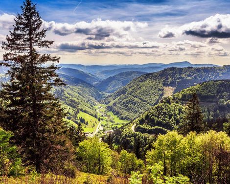 Urlaubsspaß im 4-Sterne-Hotel Hofgut Sternen in Breitnau
