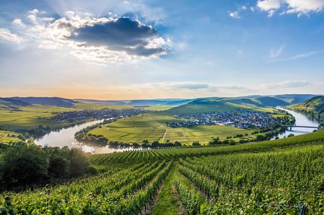 Mosel
