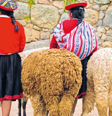 Frauen und Lamas in Peru