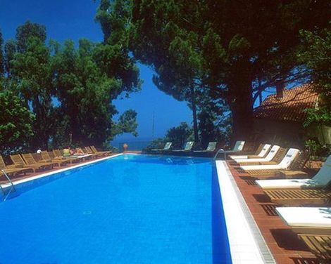 Alberi del Paradiso-0