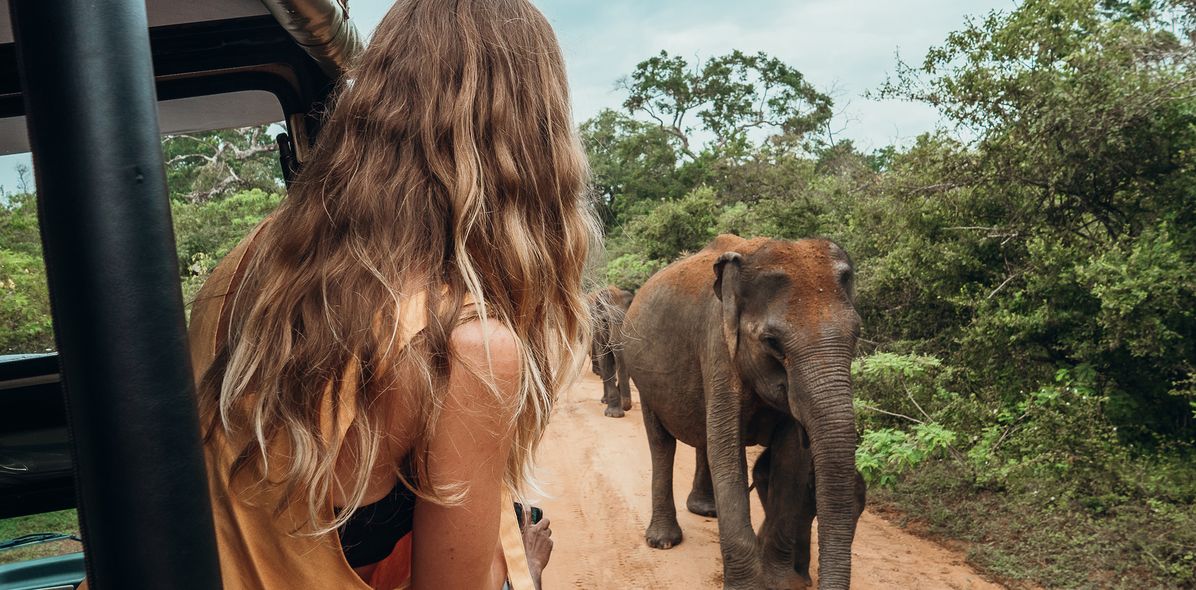 Frau im Geländewagen auf Safari beobachtet Elefant
