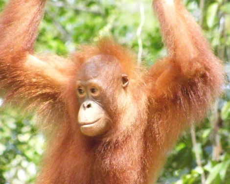 Dschungelabenteuer & Erholung am Strand-1