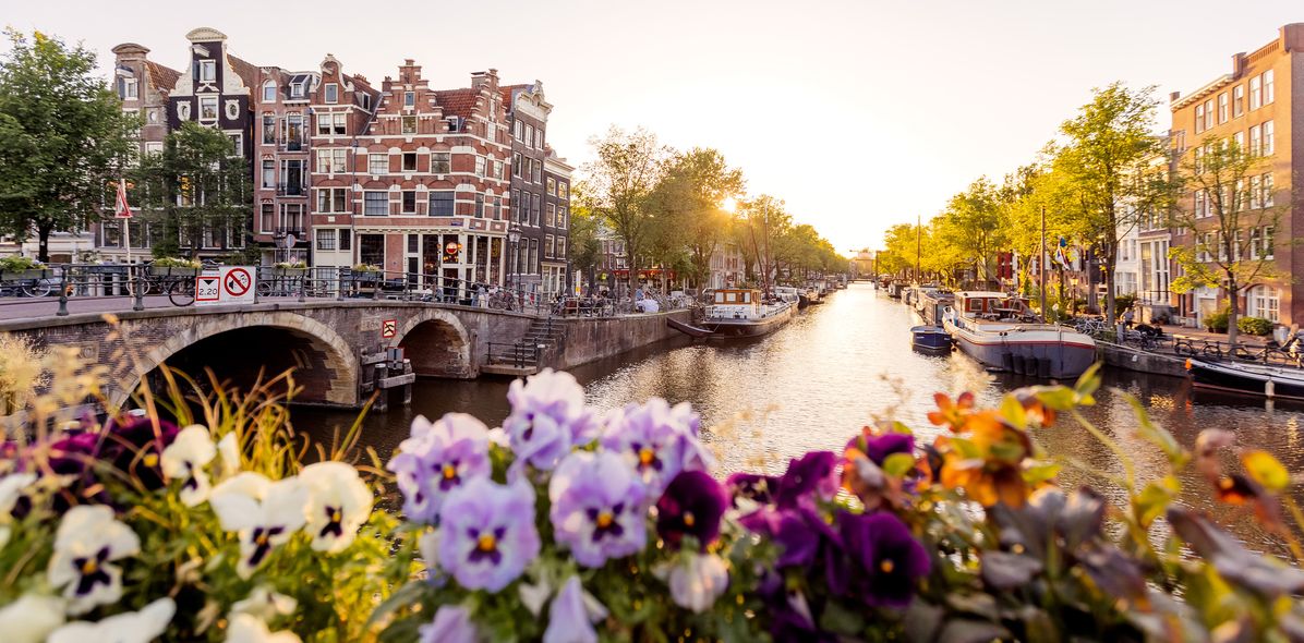 Gracht mit Blumen und historischen Häusern in Amsterdam