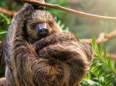 Frau formt Herz mit Händen