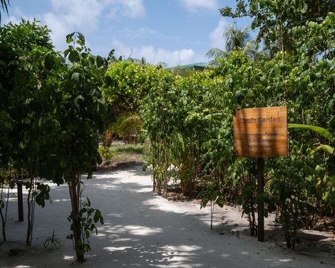 JA Manafaru Maldives-0