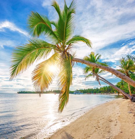 Strand mit Palmen und Sonnenschein