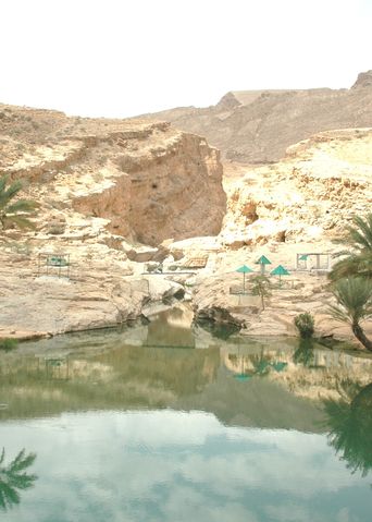 Wadi mit Palmen im Oman