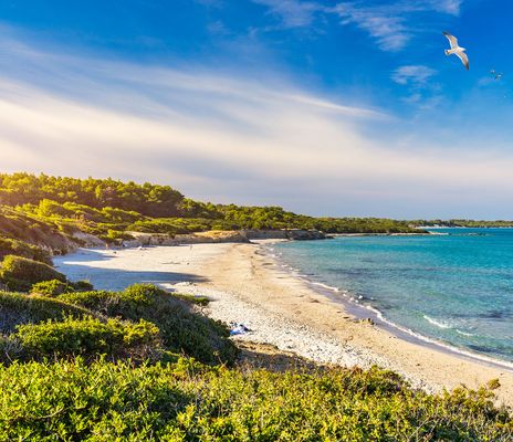 Baia dei Turchi in Apulien mit Sandstrand und türkisfarbenem Wasser