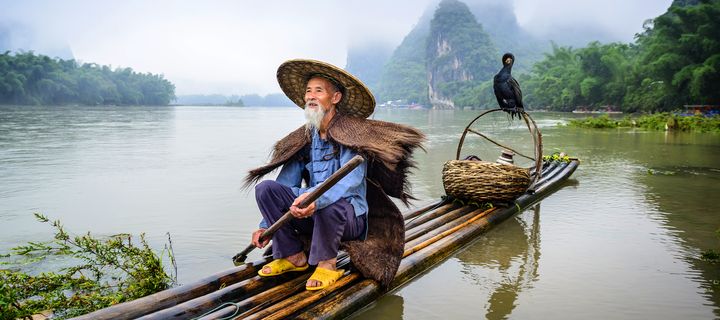 Traditioneller Fischer mit Kormoran auf dem Li-Fluss in Guangxi, China