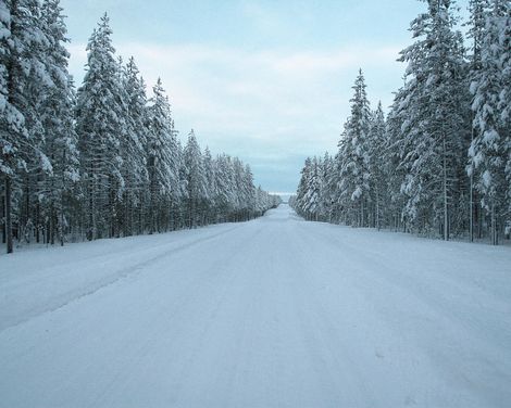 Elche, Eis und Polarkreis im Elite Stadshotellet-2
