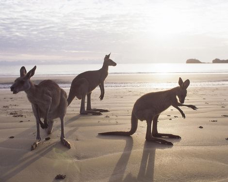 Kreuzfahrt mit Costa Serena ab Hongkong/an Santiago de Chile-2