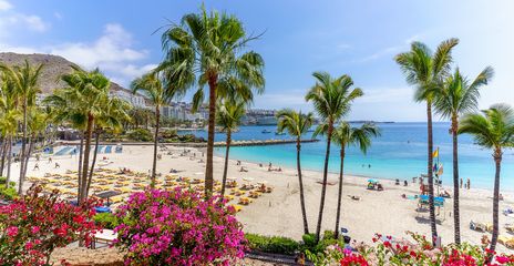 Feinsandige Bucht mit türkisblauem Wasser am Playa de Amadores auf Gran Canaria