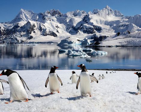 Kreuzfahrt mit Sapphire Princess ab/an Buenos Aires, bzw. von San Antonio bis Bunos Aires