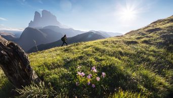 Wanderer im Sonnenaufgang